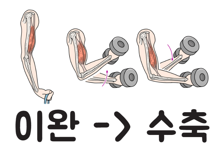 몬스터헬스 이미지