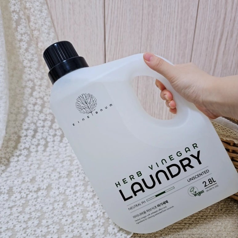 콩닥허브 이미지