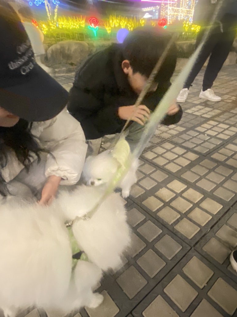 솜복솜복 이미지