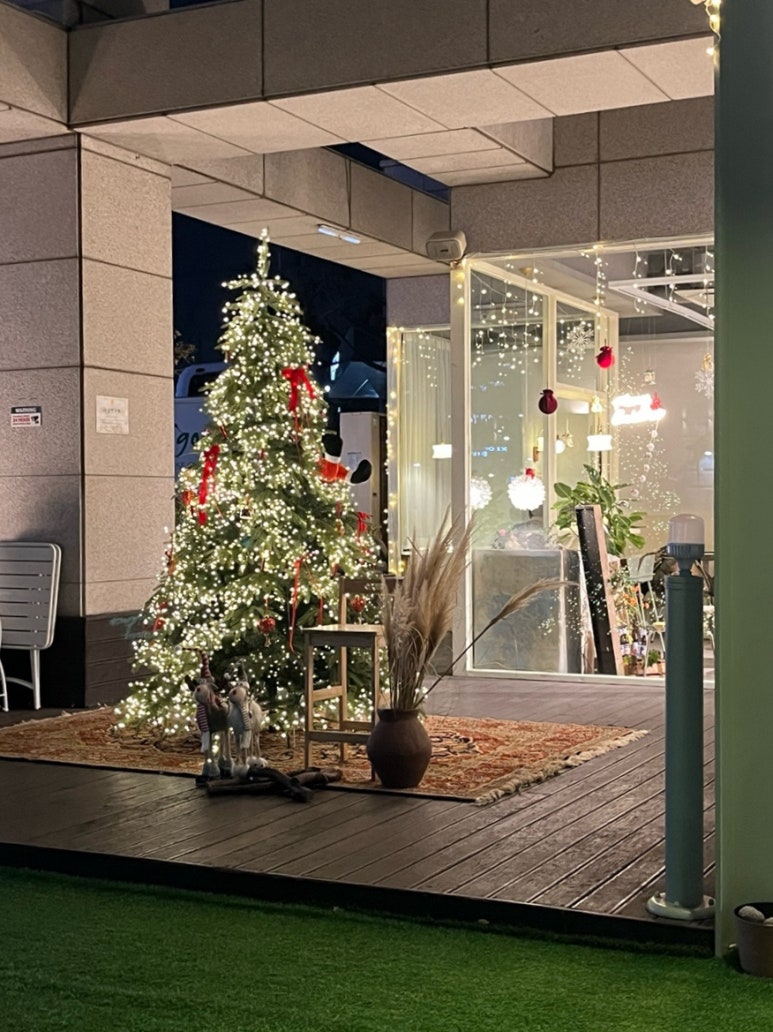 레발콩 이미지