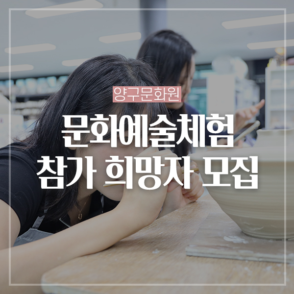 양구문화원 이미지