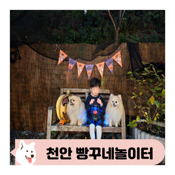 빵꾸네놀이터 이미지