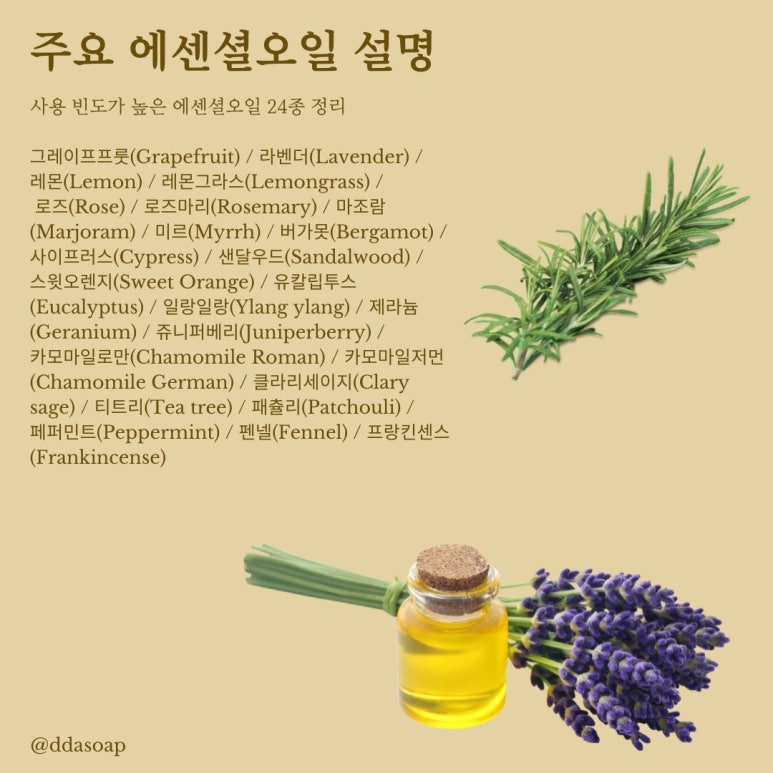 한국아로마테라피연구협회 이미지