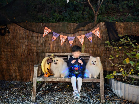 빵꾸네놀이터 이미지