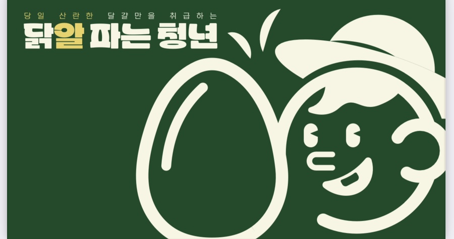 닭알파는청년 이미지