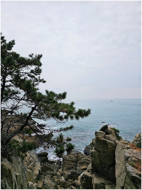 동암서점 이미지