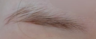 흑갈후 이미지