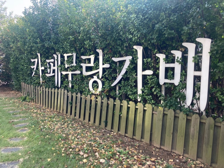 무랑가배 이미지