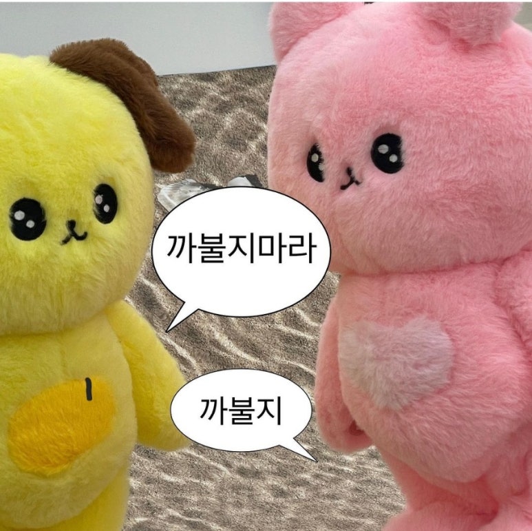 (주)산의 아침 이미지