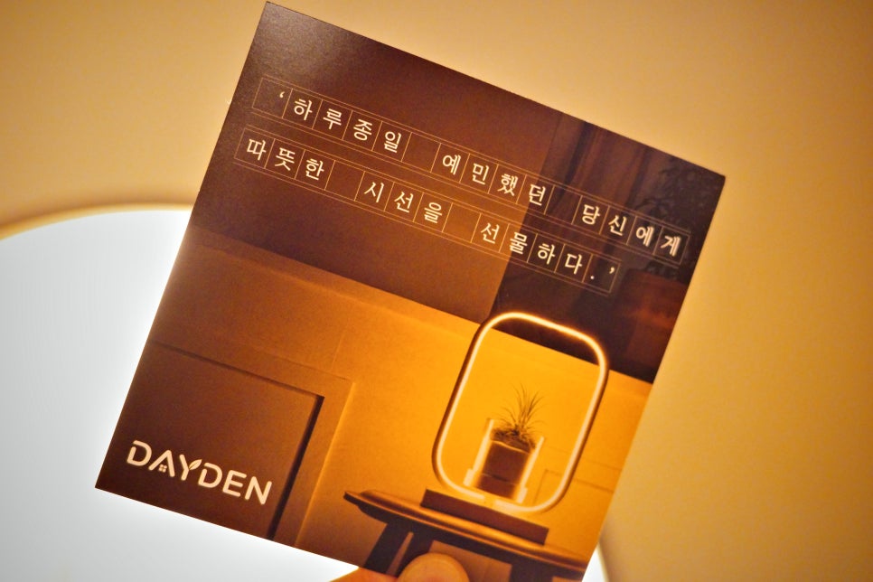 데이든(DAYDEN) 이미지