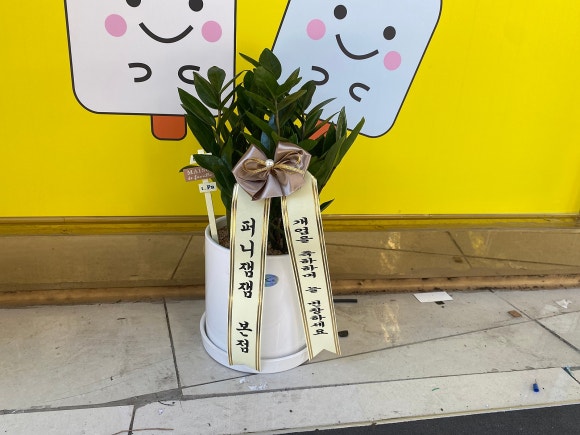 퍼니잼잼 이미지