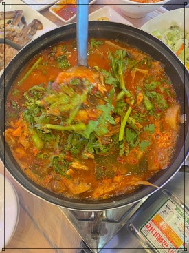영덕에산다 이미지