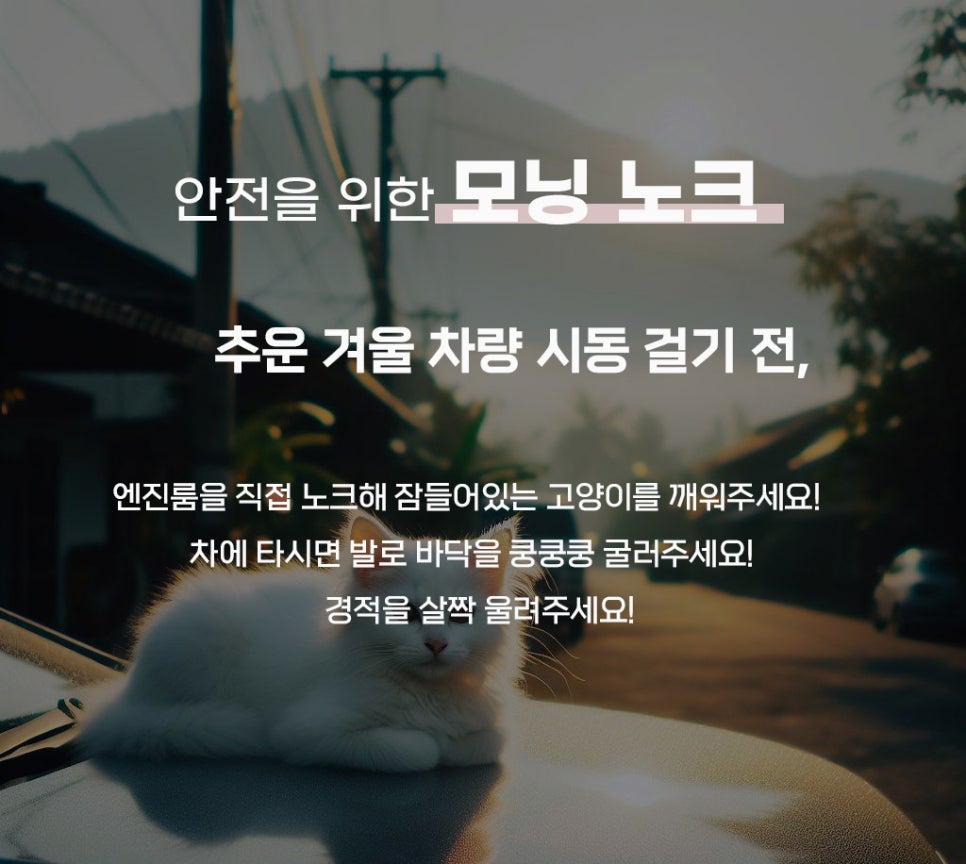 라온엔진 이미지