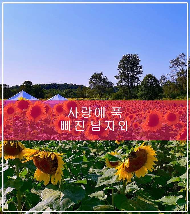 대진세탁소 이미지