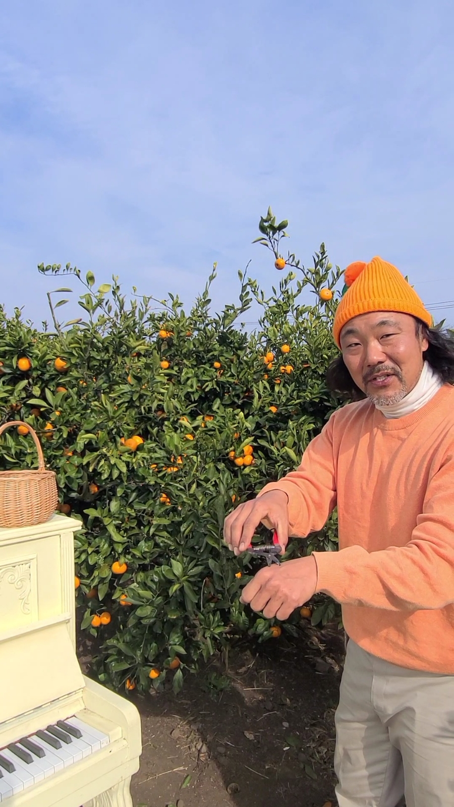 두가시 농장 이미지