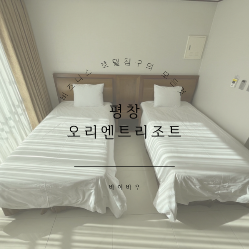 바이바우 이미지