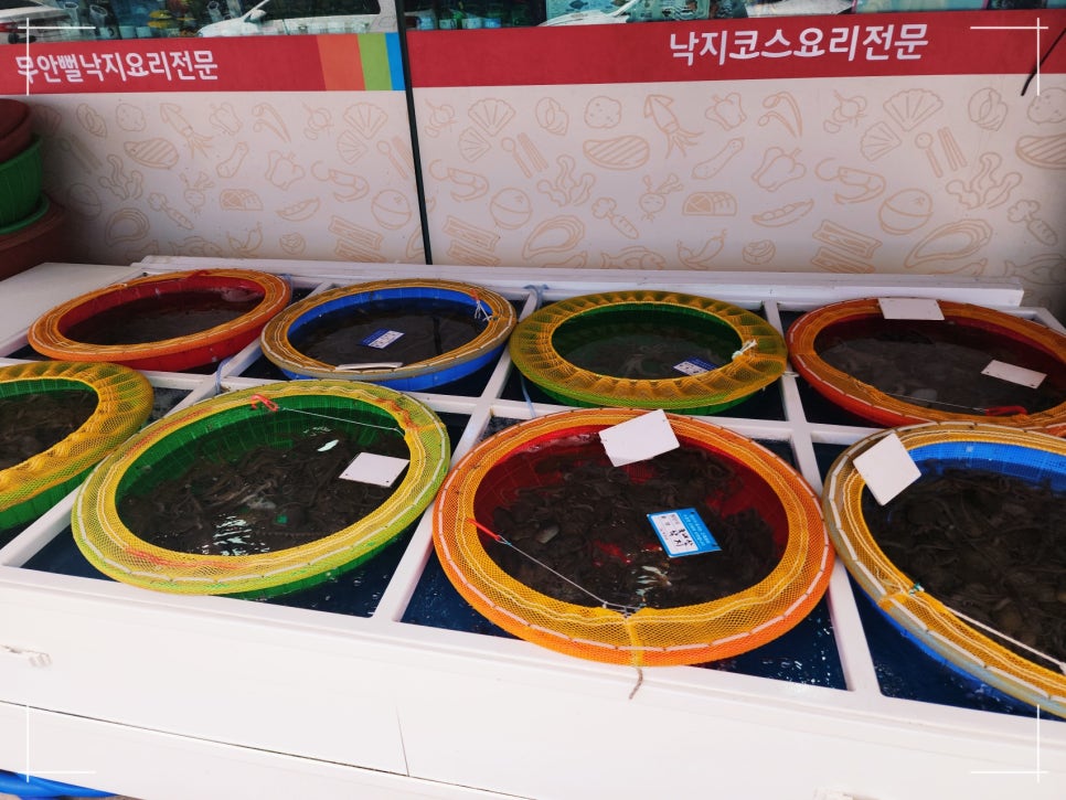 윤희네반찬 이미지