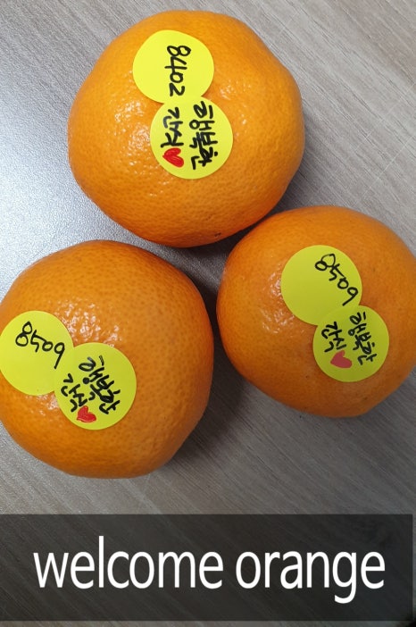 신신인쇄 이미지