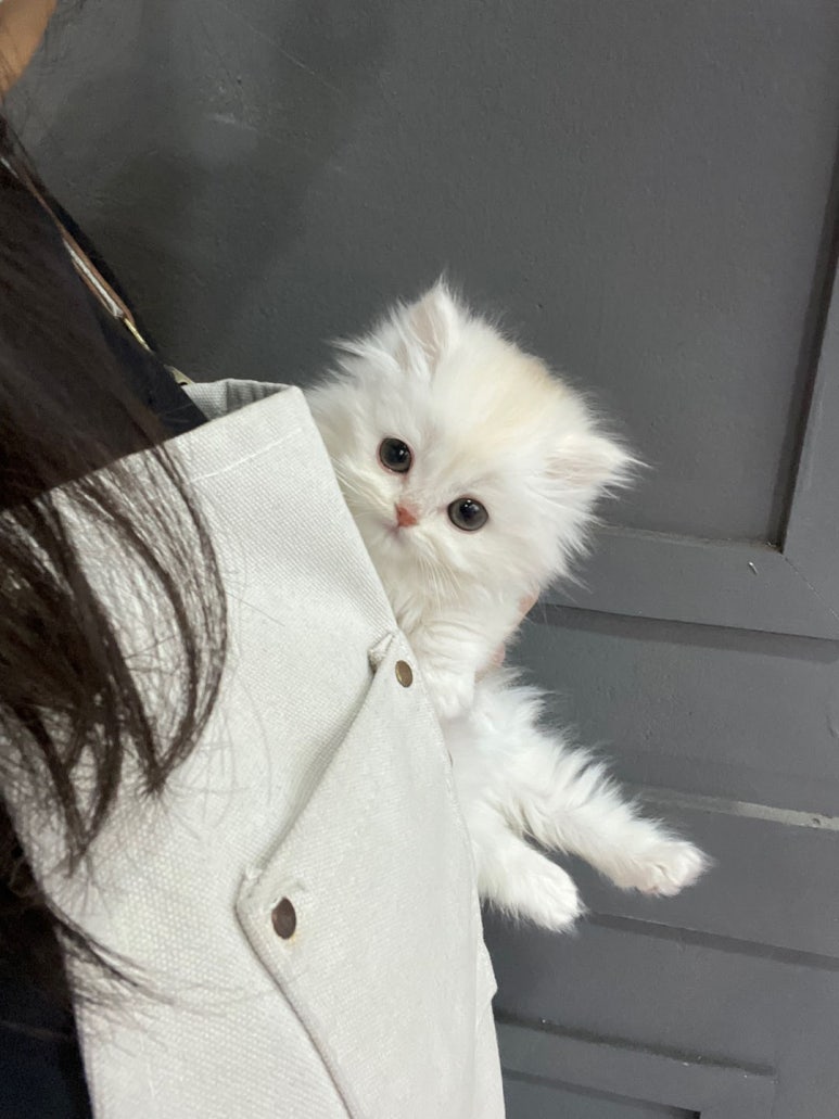 강서메디칼서비스 이미지