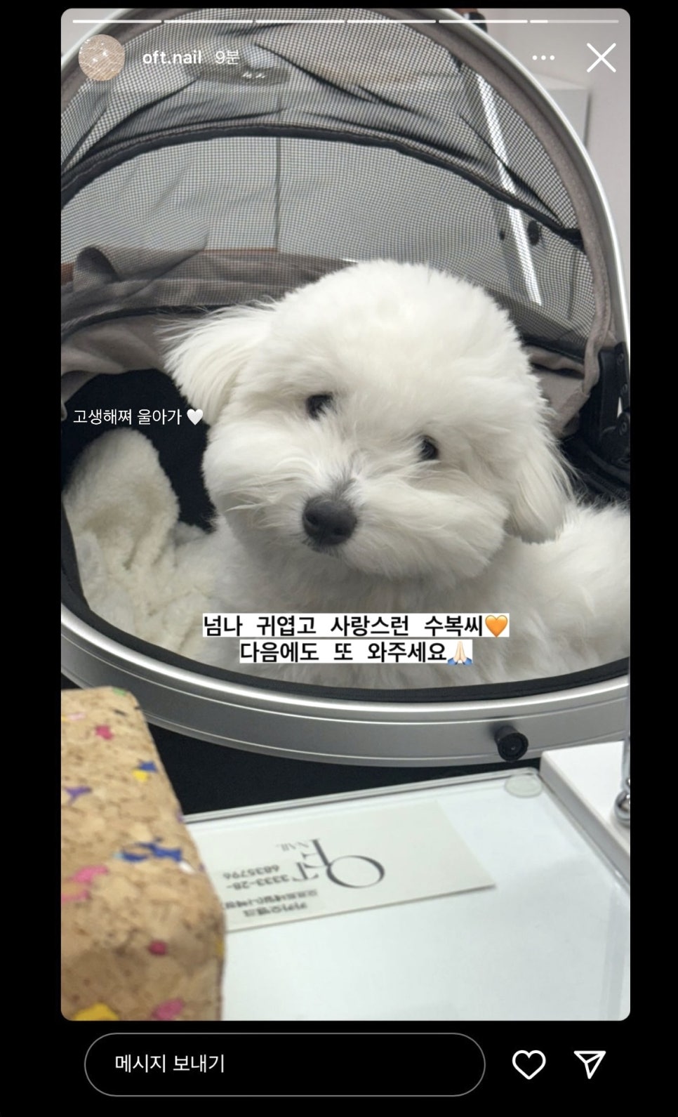 오프트네일 이미지