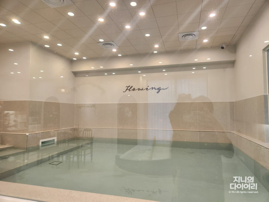 더 플로잉 이미지