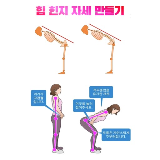 영짐 이미지