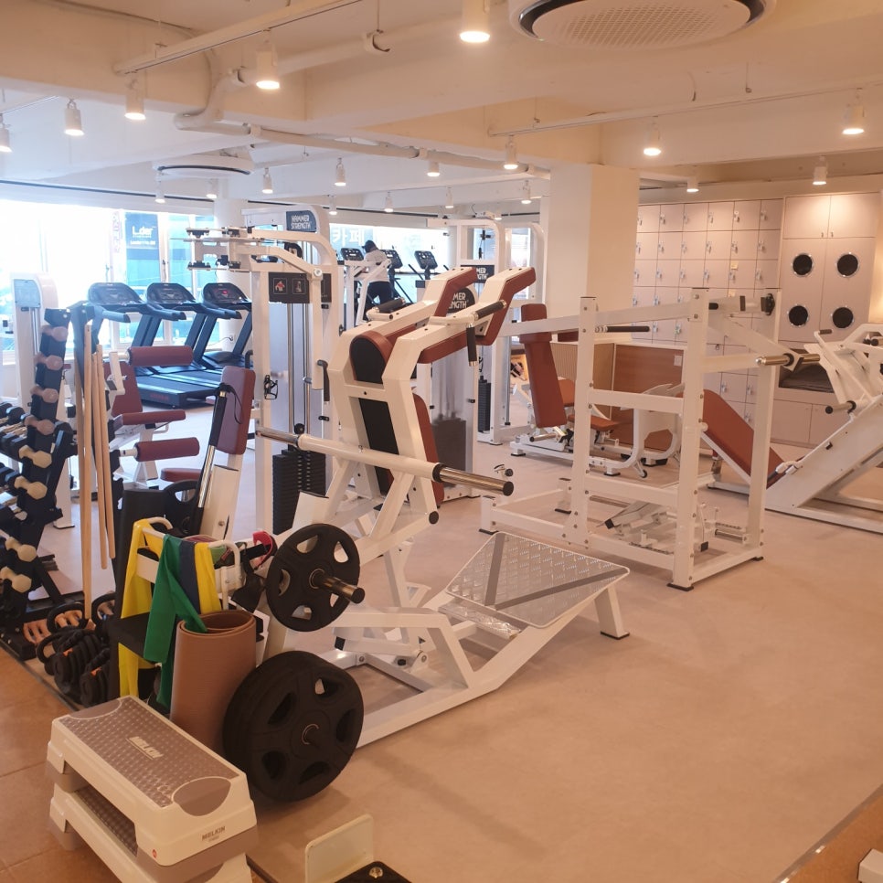 바디피티 이미지