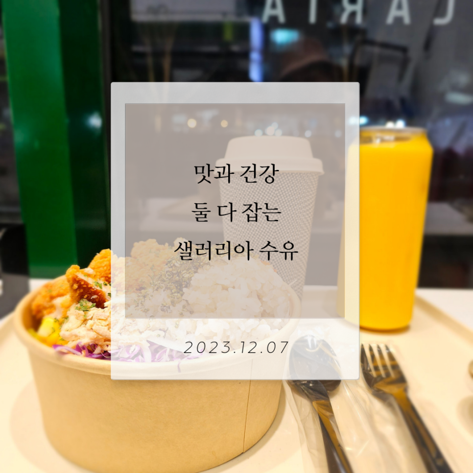 샐러리아 수유점 이미지