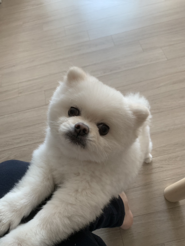 봉구네횟집 이미지