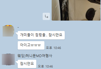 허니문MD 이미지