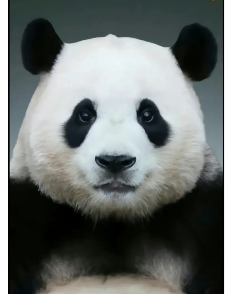 노노예예 이미지