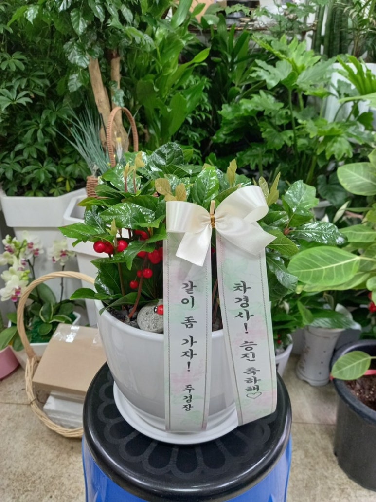 행운꽃화원 이미지