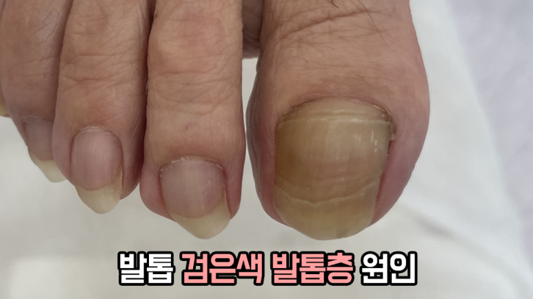 레푸스강남세곡점 이미지