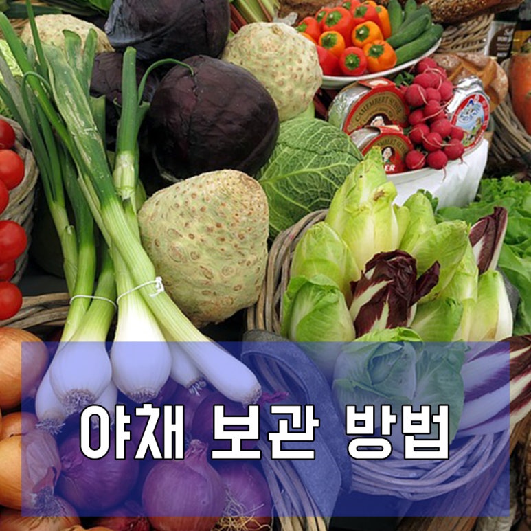 봉라면 이미지