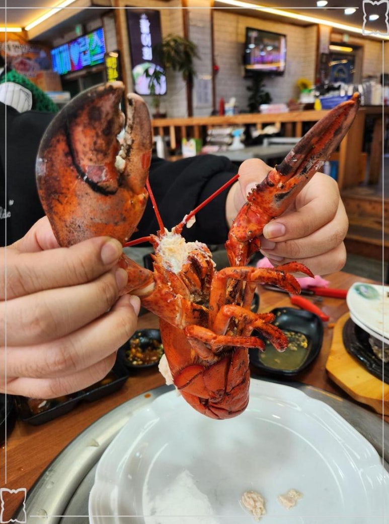 통큰동호네 이미지