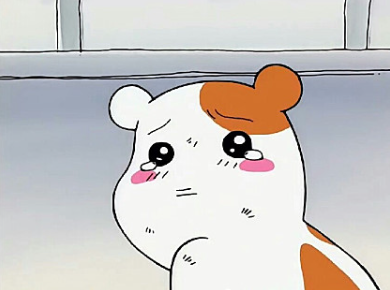 스위트클린 이미지