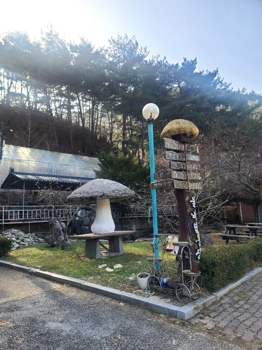 영월식당 이미지