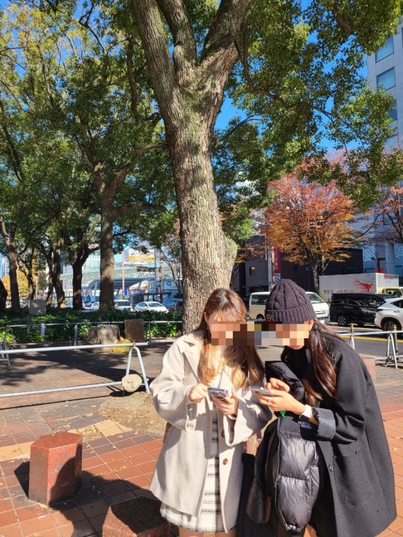 오아시스캐럿 이미지