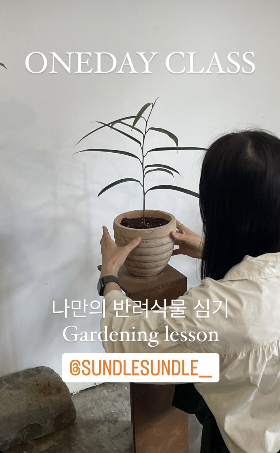 썬들썬들 이미지