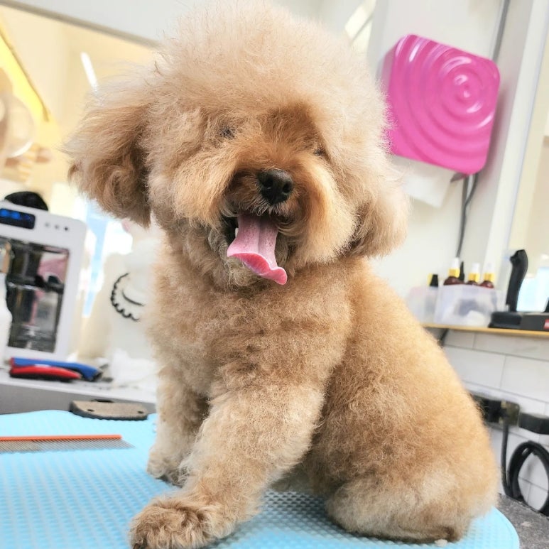 사동미장원 이미지