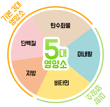 더씨엠 이미지