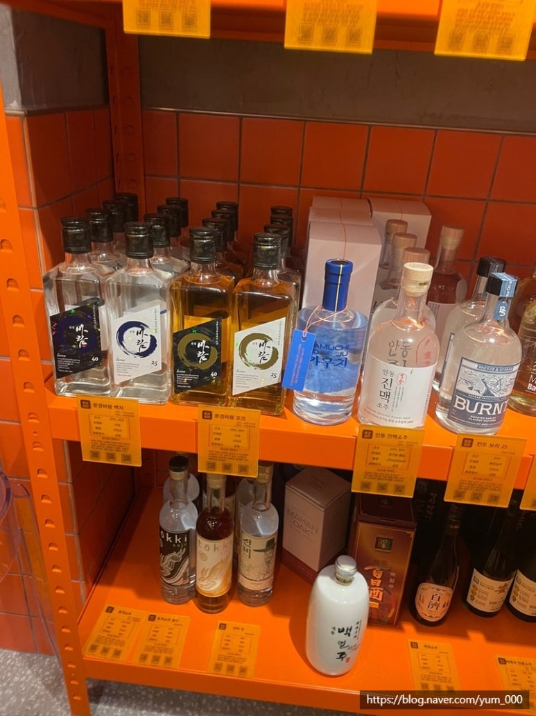 광장복어 이미지