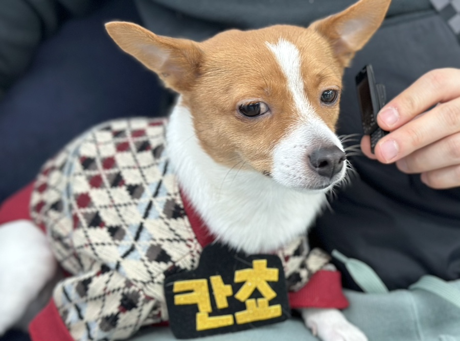 므므스튜디오 이미지