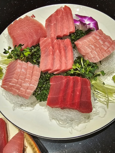 사조회참치 이미지