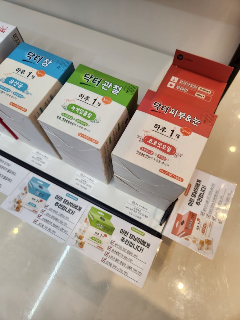 웃는개이쁜고양 이미지
