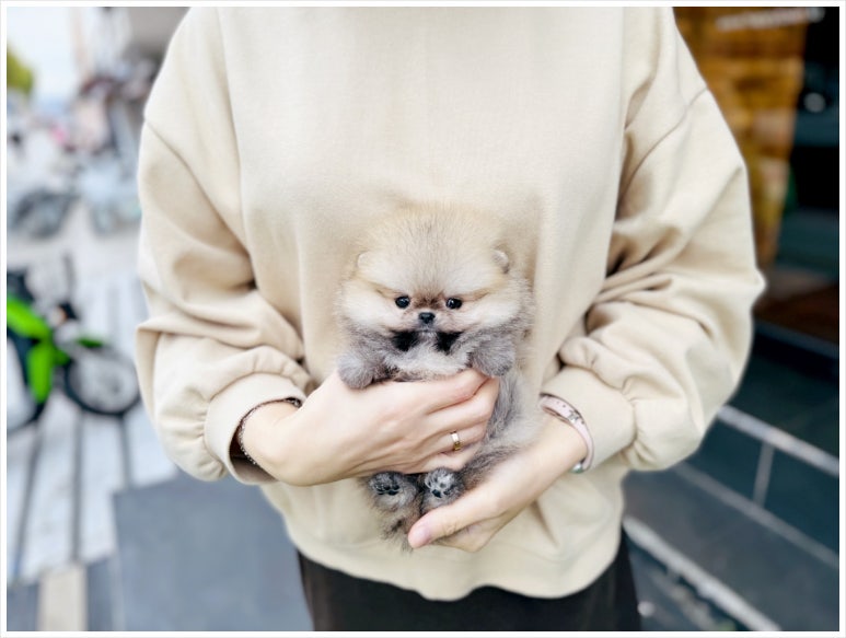 제일미용타운 이미지