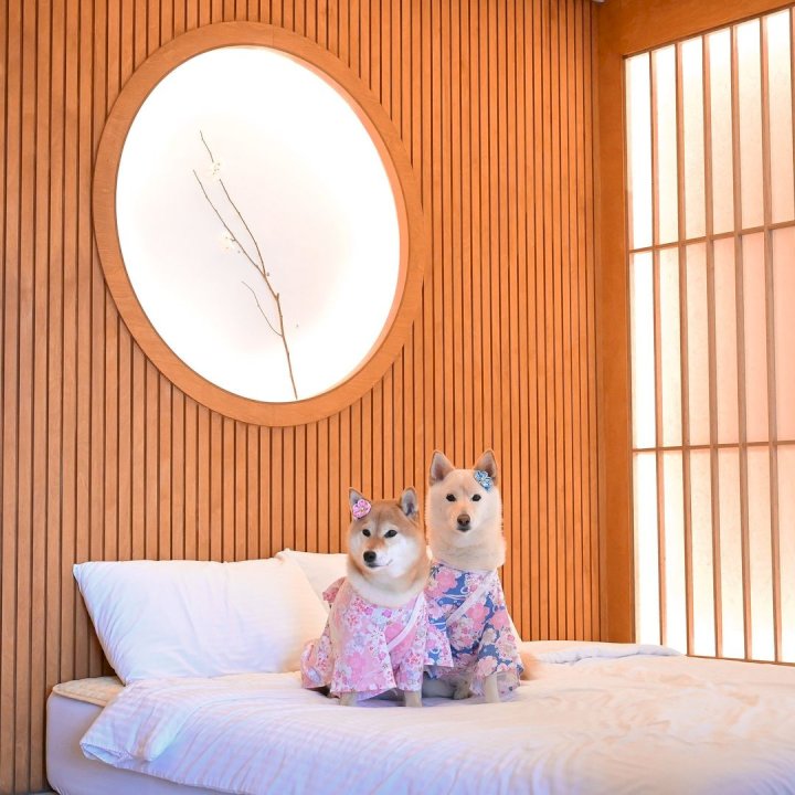 아쯔아쯔료칸 이미지
