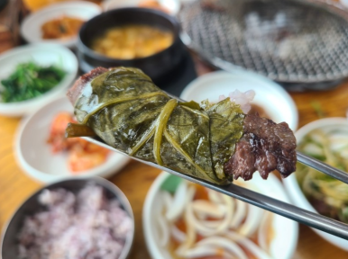 새마을한우 이미지