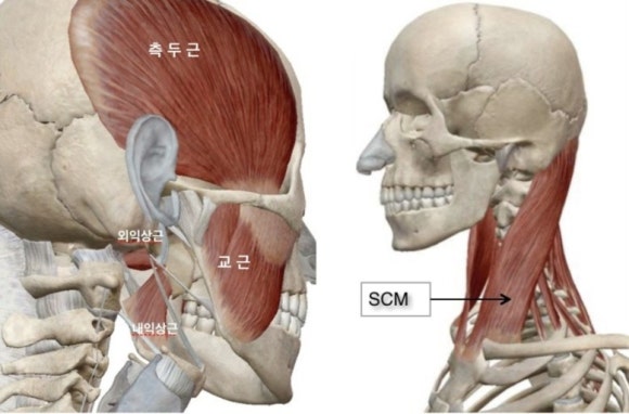 이린 이미지