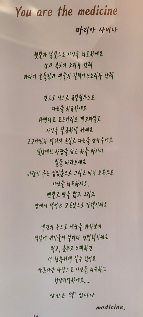 베누스파 이미지